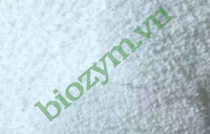 ACID ERYTHORBIC - Phụ Gia Thực Phẩm Biozym - Công Ty TNHH Sản Xuất Và Dịch Vụ Biozym